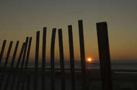 Dawn on the Dunes
South Carolina