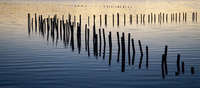 Hurricane Victim
Blackwater River Maryland