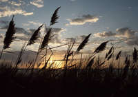 Eastern Neck Sunrise
Maryland