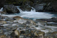 Forest Stream
New Zealand