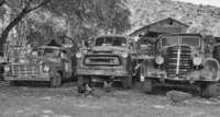 Trucks and Chickens
Arizona